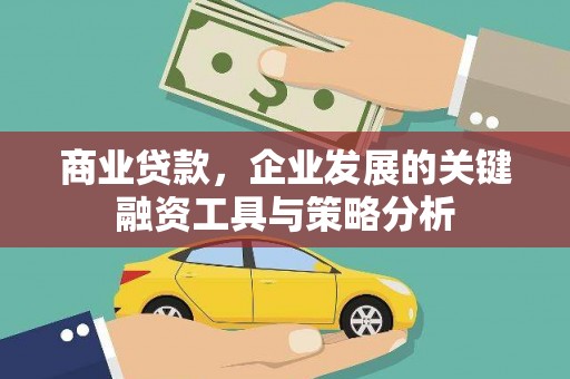 凤林商业贷款，企业发展的关键融资工具与策略分析