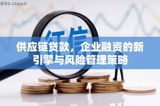 凤林供应链贷款，企业融资的新引擎与风险管理策略
