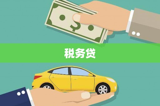 凤林税务贷