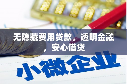 凤林无隐藏费用贷款，透明金融，安心借贷