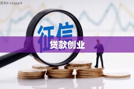 凤林贷款创业
