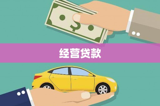 凤林经营贷款