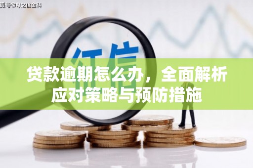 凤林贷款逾期怎么办，全面解析应对策略与预防措施