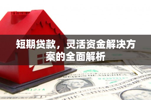 凤林短期贷款，灵活资金解决方案的全面解析