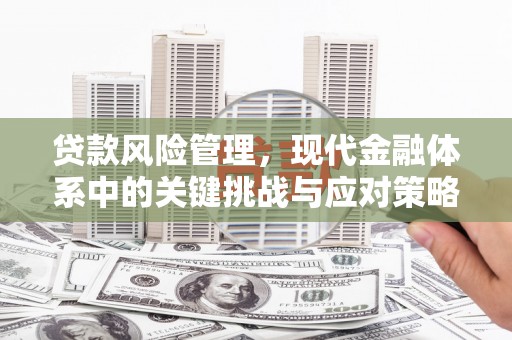 凤林贷款风险管理，现代金融体系中的关键挑战与应对策略