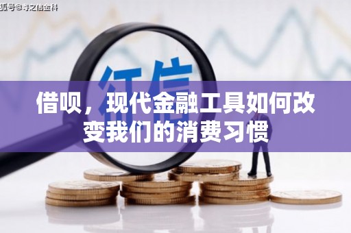凤林借呗，现代金融工具如何改变我们的消费习惯
