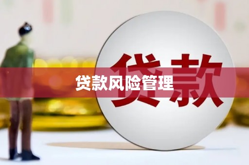 凤林贷款风险管理