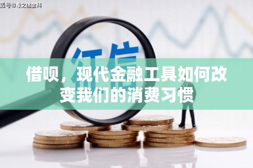 凤林借呗，现代金融工具如何改变我们的消费习惯