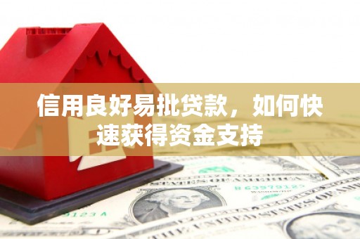 凤林信用良好易批贷款，如何快速获得资金支持