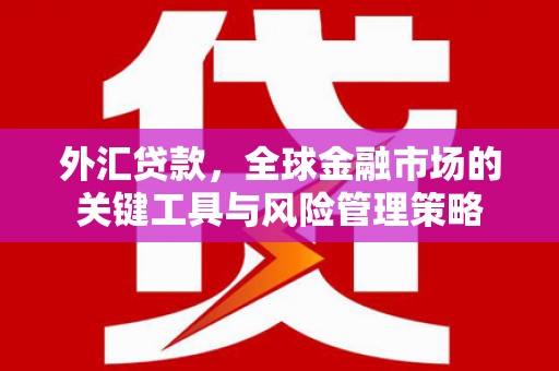 凤林外汇贷款，全球金融市场的关键工具与风险管理策略