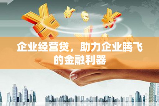 凤林企业经营贷，助力企业腾飞的金融利器