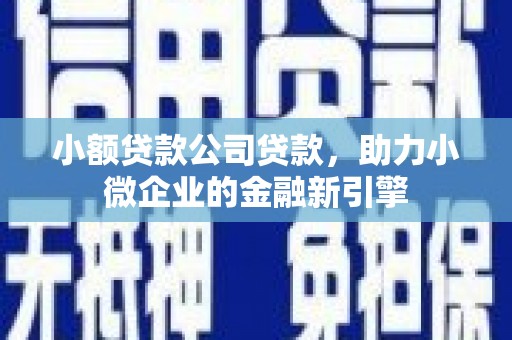 凤林小额贷款公司贷款，助力小微企业的金融新引擎