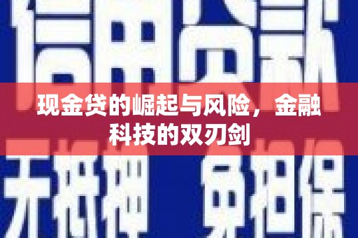 凤林现金贷的崛起与风险，金融科技的双刃剑
