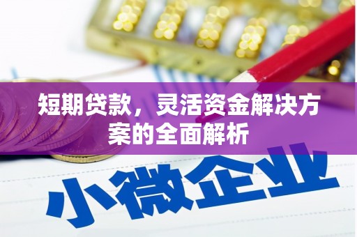 凤林短期贷款，灵活资金解决方案的全面解析
