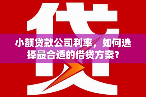 凤林小额贷款公司利率，如何选择最合适的借贷方案？