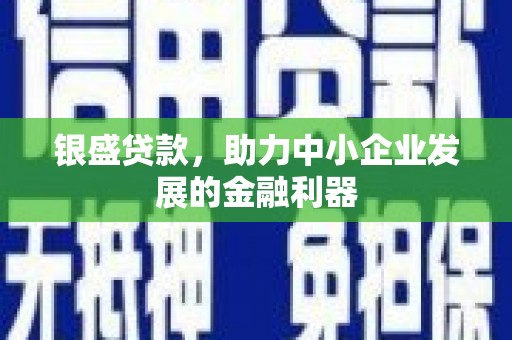 凤林银盛贷款，助力中小企业发展的金融利器