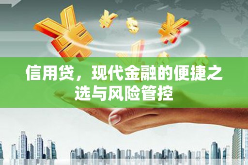 凤林信用贷，现代金融的便捷之选与风险管控