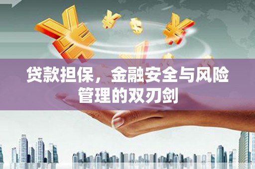 凤林贷款担保，金融安全与风险管理的双刃剑