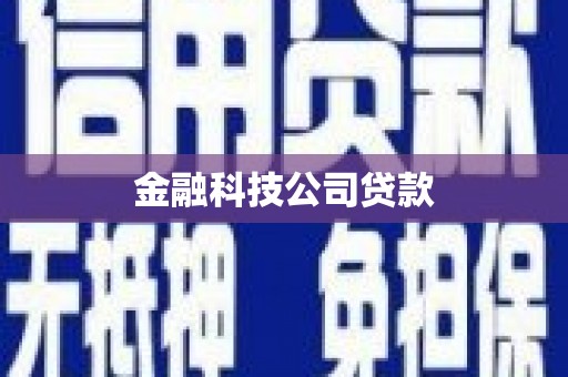 凤林金融科技公司贷款