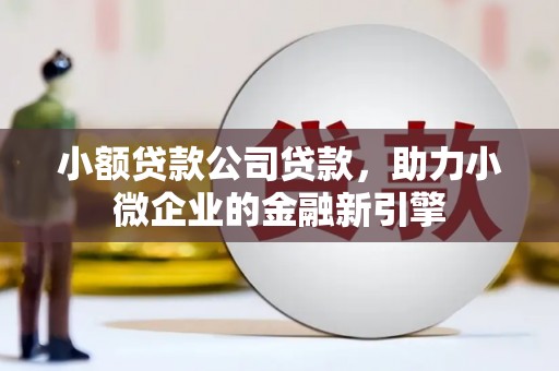 凤林小额贷款公司贷款，助力小微企业的金融新引擎