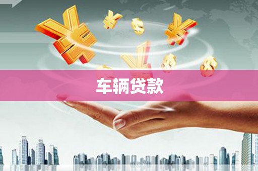 凤林车辆贷款