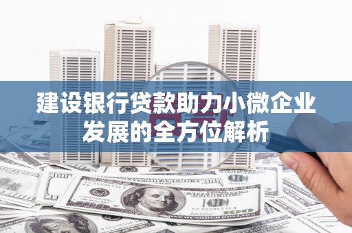 凤林建设银行贷款助力小微企业发展的全方位解析