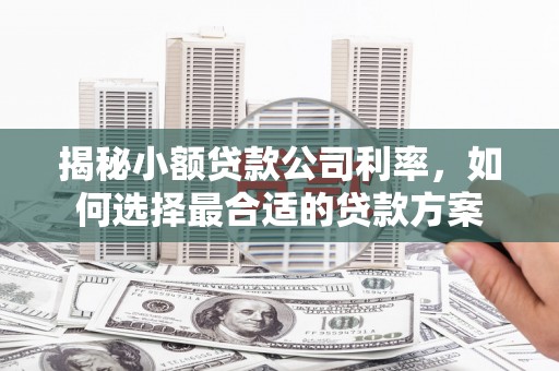 凤林揭秘小额贷款公司利率，如何选择最合适的贷款方案