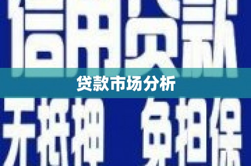 凤林贷款市场分析