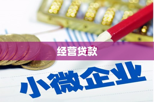 凤林经营贷款