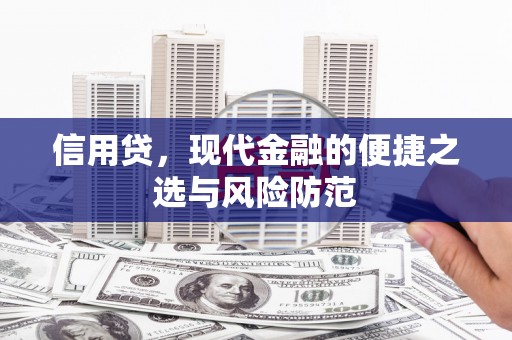 凤林信用贷，现代金融的便捷之选与风险防范