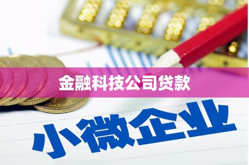 凤林金融科技公司贷款