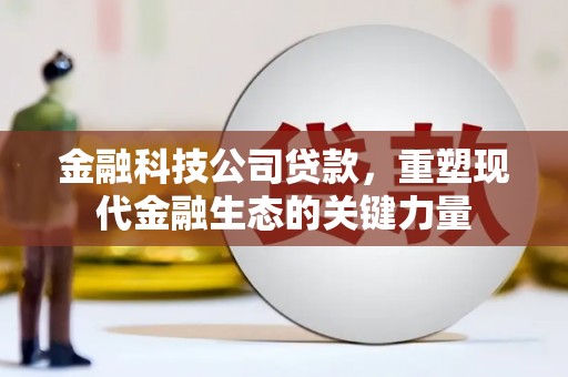 凤林金融科技公司贷款，重塑现代金融生态的关键力量