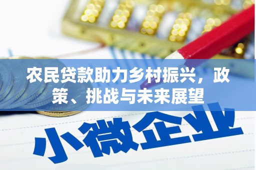 凤林农民贷款助力乡村振兴，政策、挑战与未来展望
