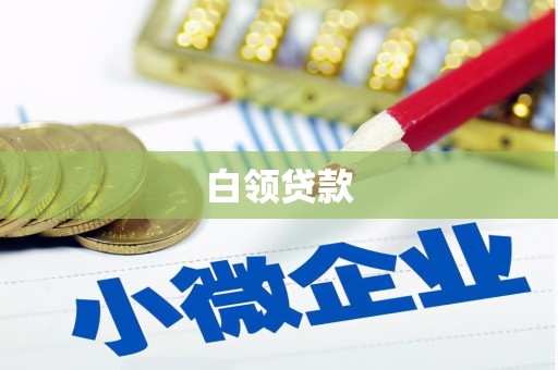 凤林白领贷款