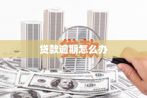 凤林贷款逾期怎么办