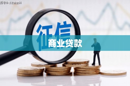 凤林商业贷款