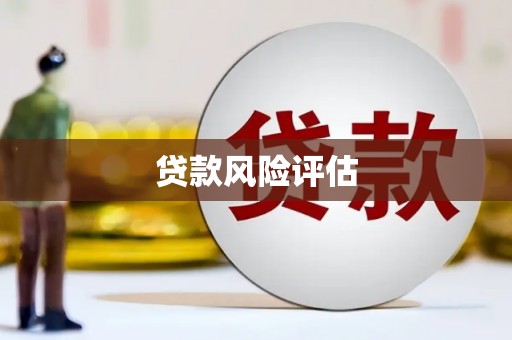 凤林贷款风险评估