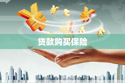 凤林贷款购买保险