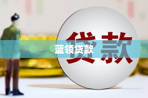 凤林蓝领贷款