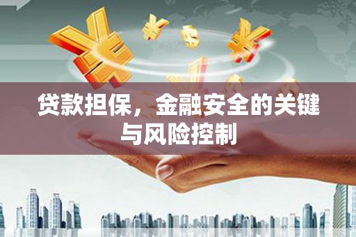 凤林贷款担保，金融安全的关键与风险控制
