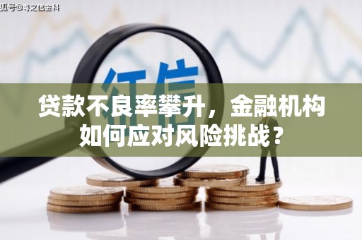 凤林贷款不良率攀升，金融机构如何应对风险挑战？