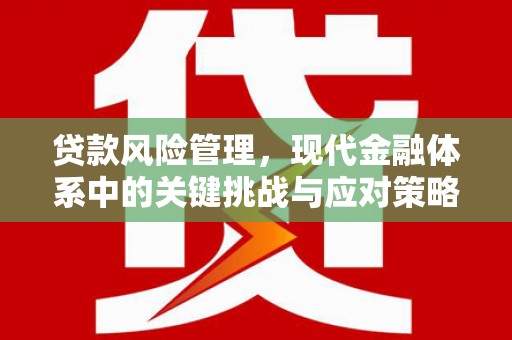 凤林贷款风险管理，现代金融体系中的关键挑战与应对策略