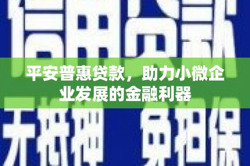 凤林平安普惠贷款，助力小微企业发展的金融利器