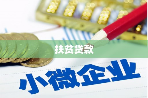 凤林扶贫贷款