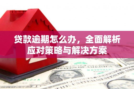 凤林贷款逾期怎么办，全面解析应对策略与解决方案