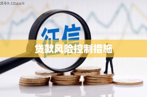 凤林贷款风险控制措施