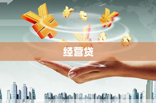 凤林经营贷