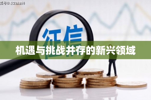 凤林机遇与挑战并存的新兴领域