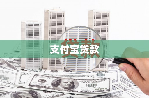 凤林支付宝贷款