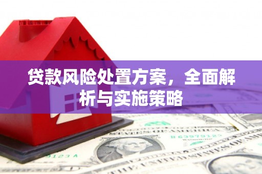 凤林贷款风险处置方案，全面解析与实施策略